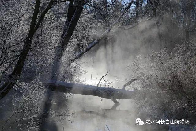 王者荣耀更新太慢怎么办?-知识星球平台